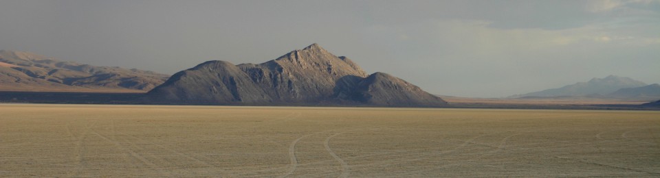 Dusty Visions